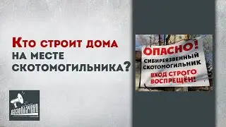 Кто строит дома на месте скотомогильника?