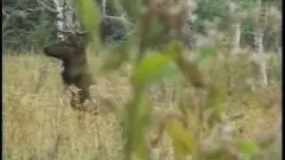 How To: Call in Elk Using the Power Bugle (Sounds to Success)