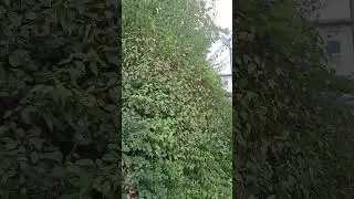 Пришёл  на работу, РАБОТАЙ!!