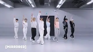 Stray Kids (스트레이 키즈) - CASE 143 (Dance Practice Mirrored)