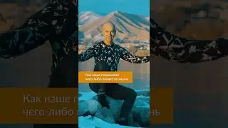 Зачем пытаться понять?