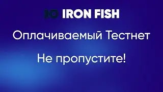 Iron Fish. Оплачиваемый тестнет. Почему нельзя пропускать!