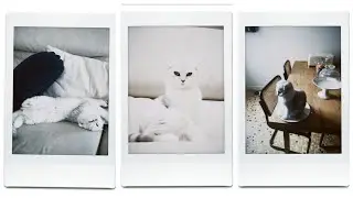 Nouveau coloc