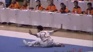 2007 福建 福州  男子 长拳 Yuan Xiao Chao 9.69
