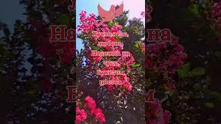 Собор Всех Святых! Петровское заговенье 
