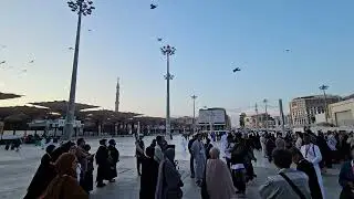 AREA PERLUASAN MASJID NABAWI DEPAN WILAYAH BANI SYAIDAH | GATE 326