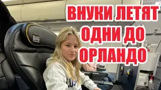ГДЕ ЛЕНА ? ГДЕ МАТЬ ?  ФИЛИППА ЗАДЕРЖАЛИ НА ДОСМОТРЕ.ПРОЦЕДУРА ОТПРАВКИ ДЕТЕЙ ОДНИХ В САМОЛЕТЕ В США