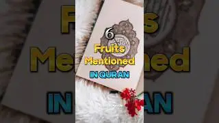 Fruits of the Quran 😍 