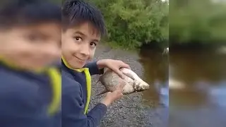 Первый пойманый лещ на донку
