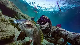 They don’t come easy! First Corvina Spearfishing in Türkiye 🇹🇷