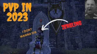 ESO PVP IN 2023 (ZERGING CENTRAL)