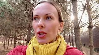 Война и Грузинские Щенки в Киеве. День 2