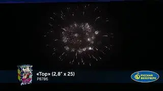 P8786 Тор