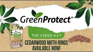 Green Protect Cedarwood Moth Rings