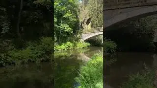 ČR 2024 #cz #vylet #czechrepublic #nature #czech #travel #zvíře