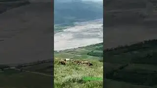 Табиати Тозаи Рашт Нимич
