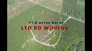Wildland Fire Dozer Operator: LTD Wildfire