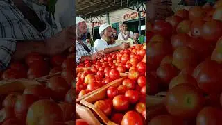 Punganur tomato MSM 🍅🍅 6/10/2024 #punganurtomatomarket #tomatomarket #trending #tomatowholesalemarke
