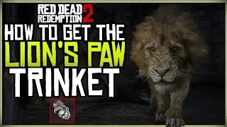 RD2 2 lions paw Trinket