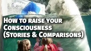 HOW TO RAISE YOUR CONSCIOUSNESS - Stories and comparisons