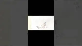 Mako and Korra riding on Naga Storyboard | The Legend of Korra