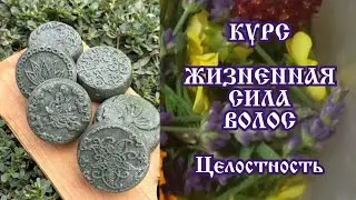 Курс жизненная сила волос - Целостность