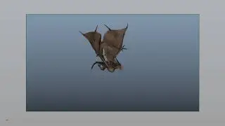 dragon fly cycle