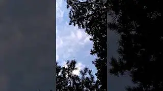 12 сентября 2024_Московская обл_Рузский р_Новогорбово д-я_посёлок Колюбакино #дача #тучково