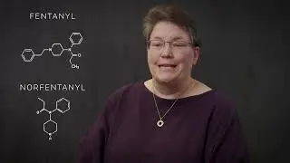 Webisode 14 - Interpreting Drug Screens