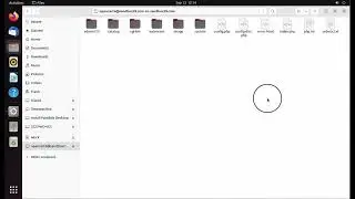 Connect any ftp server in ubuntu