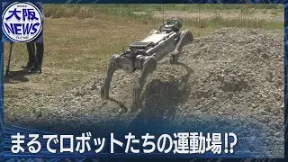 ロボットの大運動会 ⁉　難所をクリアせよ。
