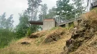 Продолжение сбора черники в Чехии.