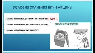 БЕЗОПАСНАЯ ПРАКТИКА ПРИ ИММУНИЗАЦИИ ПРОТИВ ВИРУСА ПАПИЛЛОМЫ ЧЕЛОВЕКА (ВПЧ). ПРОФИЛАКТИКА НППИ.