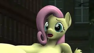 mlp burp comp