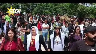 شاريا - ركافا