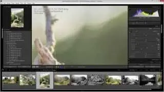 How to duplicate a brush mask, radial, or linear gradient filter in Lightroom CC / 6
