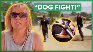 Things Escalate At The Rescue When Tia Is Leaving To New Orleans | Pit Bulls & Parolees