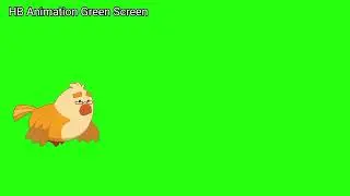 Bird Animation Green Screen