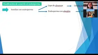 Clase 2  - Germinación y giberelinas
