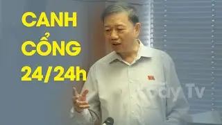CHIỀU TÍM: Tô Lâm bị Tổng Trọng gõ cửa nhà vì ăn chia 15 tỷ đô với Nguyễn Văn Bình?