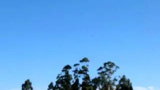T-REX 450 flying on Polo Field @ 12/01/2011 - Montevideo - Uruguay