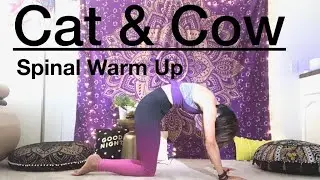Cat & Cow Pose Tutorial | Yoga For Beginners | Young Yoga with Sylvia