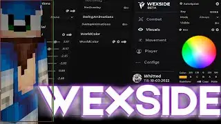 В первый раз с WexSaid   дули с читом