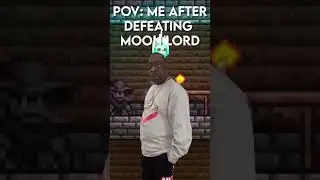 POV: Me after moonlord #terraria #gaming #funny #terrariameme