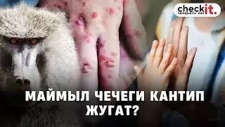 Маймыл чечеги кантип жугат жана ал кандай оору?
