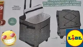 ARRIVAGE LIDL 28 AOÛT 2024