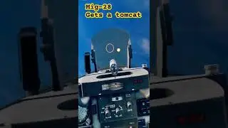 tomcat meets mig-28 #dcs