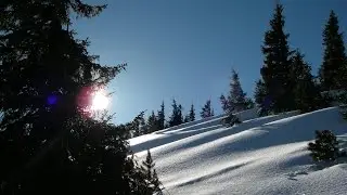 2015 г, январь Карпаты