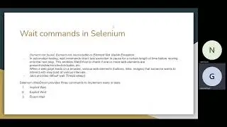 Selenium Waits 1