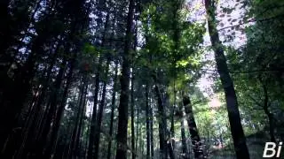 Kamandi and Polo - ♂ & ☽ [VIDEO]